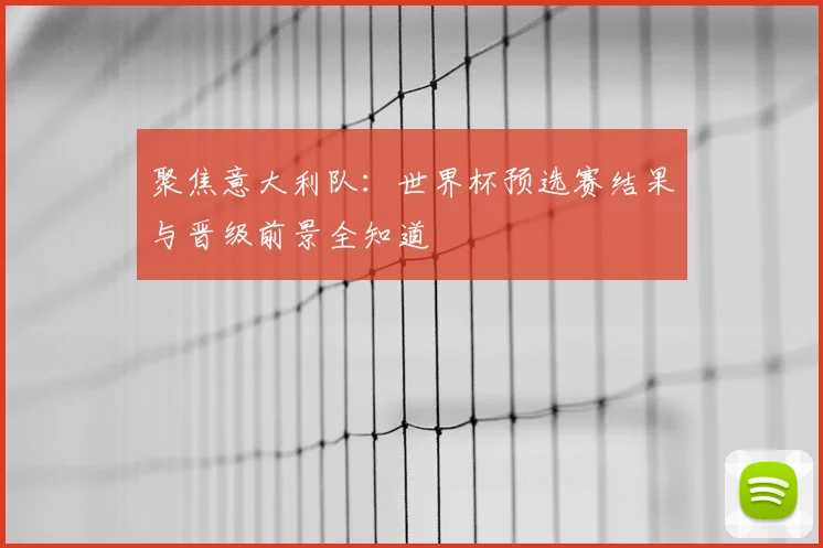 聚焦意大利队:世界杯预选赛结果与晋级前景全知道